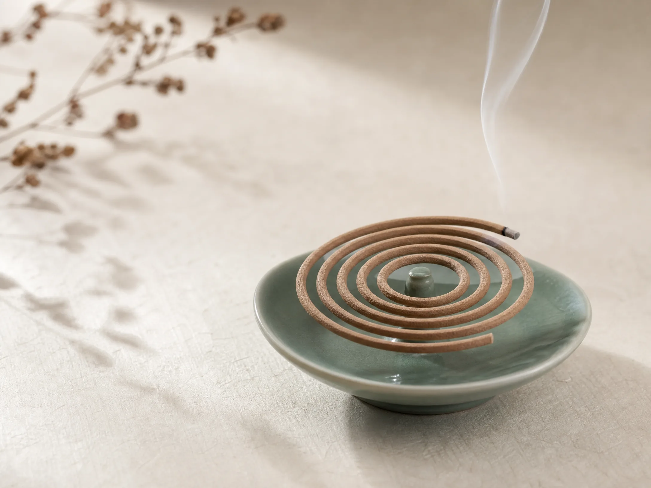 盘香一枚，置于青瓷香盘，尖端青烟袅袅‍